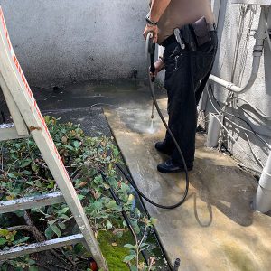 Pressure Washing outside of a house